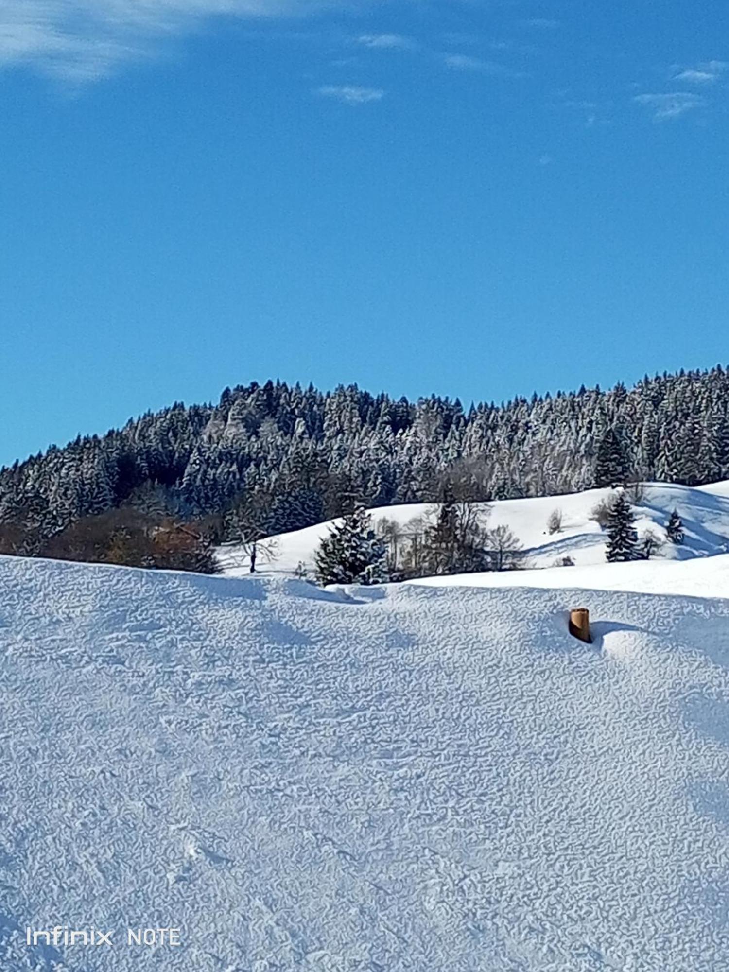 Apartment Allgaeu Vibes - Fusslaeufige Erreichbarkeit Vom Bahnhof, Echte Flatrate Fuer Internet Festnetz, Mit Aussicht, Wettergeschuetzter Balkon Oberstaufen